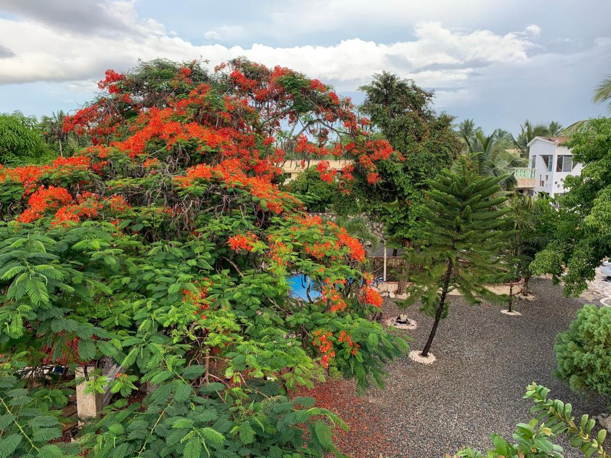 Villa Marcia Boca Chica Kültér fotó